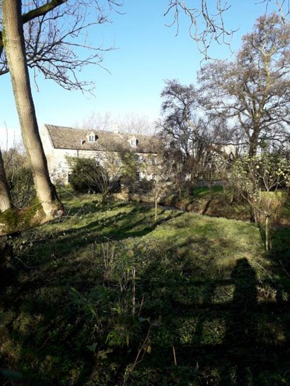 A picture containing tree, outdoor, plant

Description automatically generated