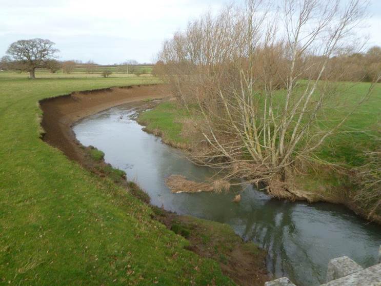 A picture containing grass, sky, outdoor, river

Description automatically generated