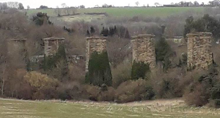 A picture containing grass, outdoor, field

Description automatically generated